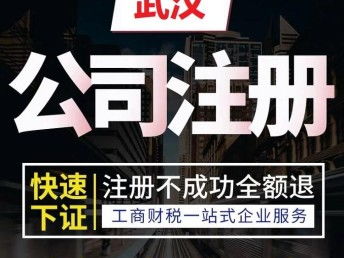 一站式企业服务 蔡甸区公司注册、代理记账与一对一诊断