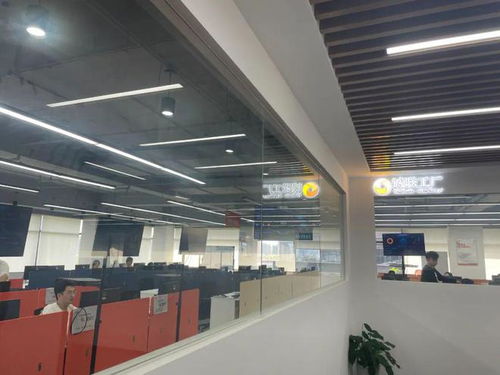 大虹桥园区 代理代办服务的崭新机遇不容忽视